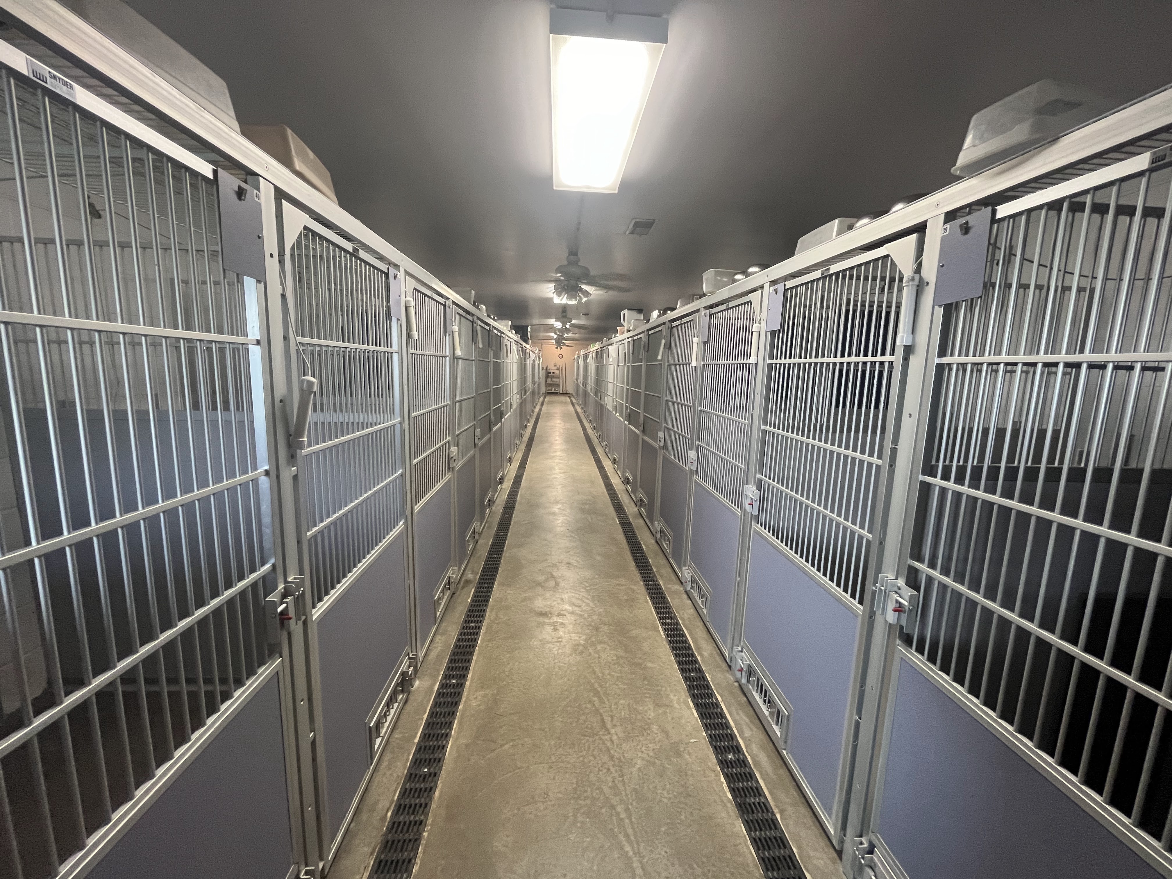 image of runs hallway